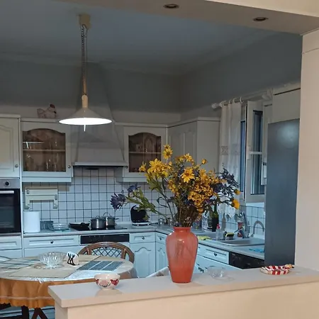 Διαμέρισμα Season House *